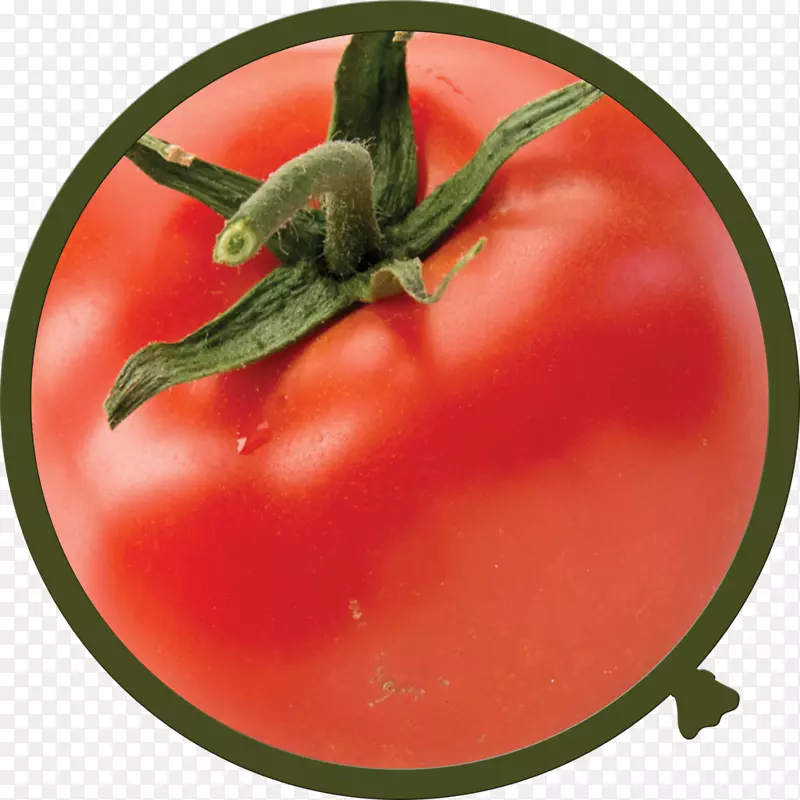 李子番茄灌木番茄食物甜椒-番茄