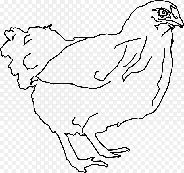 丝画线艺术鸡作为食物剪贴画-鸡鸟