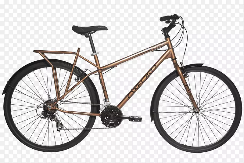 布鲁克林自行车公司罗利山地车公司混合自行车-自行车