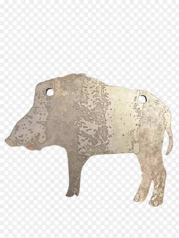 肉牛鼻子陆生动物-猪