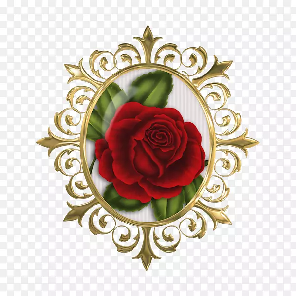 花园玫瑰周年纪念红酒玫瑰-葡萄酒