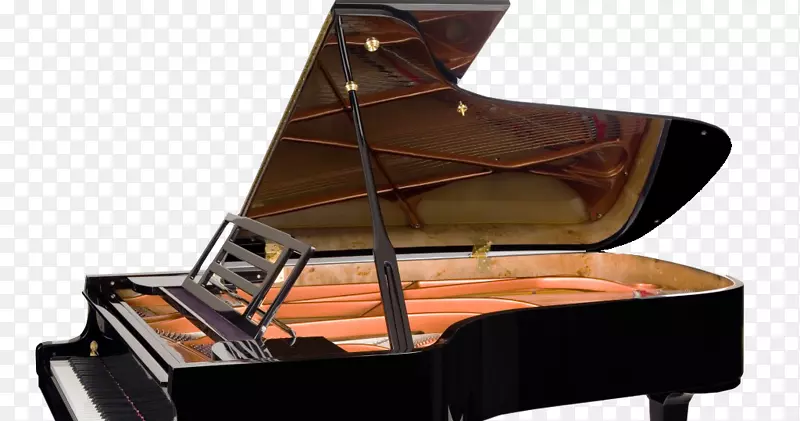 大钢琴Feurich Steinway和儿子-钢琴