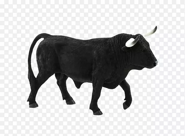 西班牙斗牛英国得克萨斯州龙角高地牛