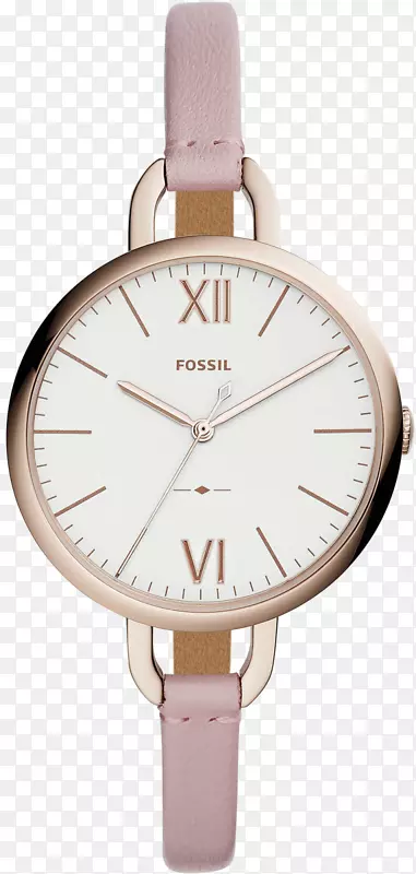 化石集团手表表带加拿大石英钟表