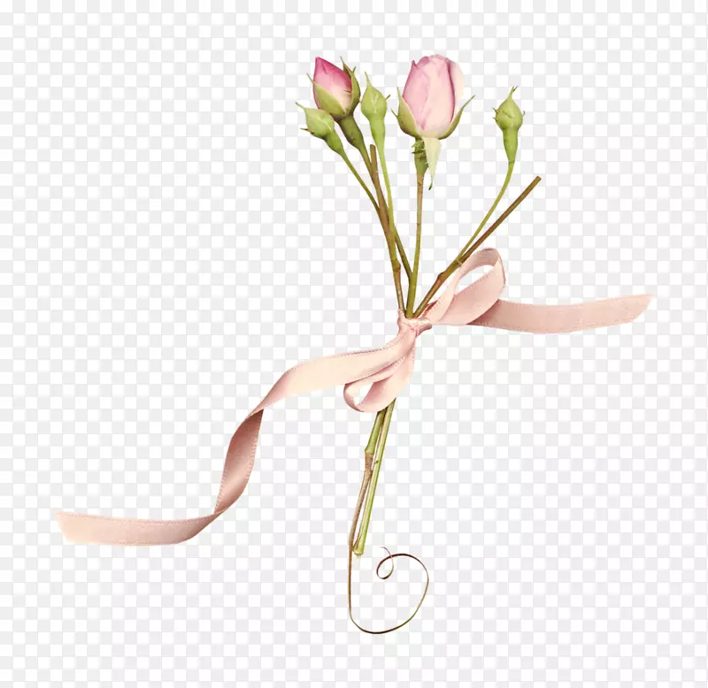 花卉设计切花粉红色花园玫瑰-花