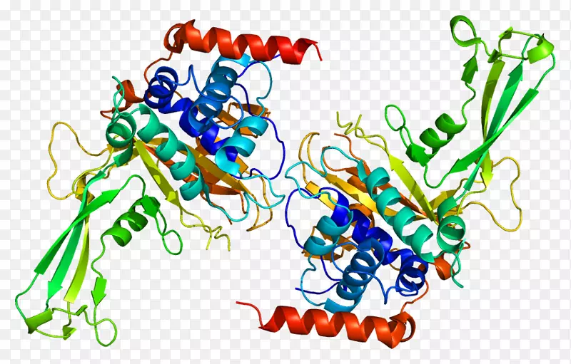 USP 7泛素连接酶蛋白酶p53