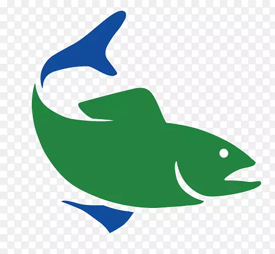康涅狄格大学普通宽吻海豚康涅狄格能源与环境保护系海豚-水体