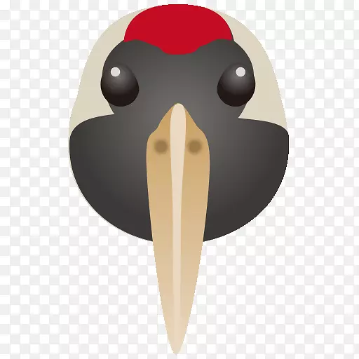 企鹅Cygnini鸭鸟企鹅