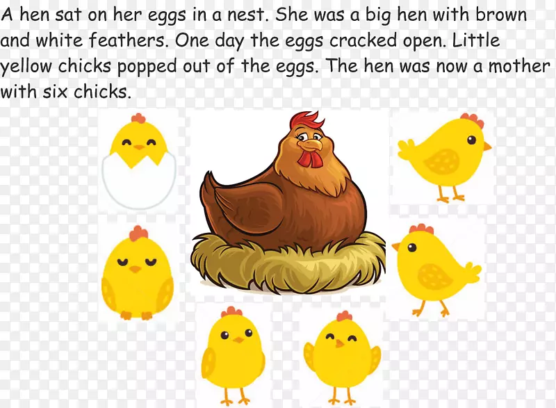 鸡喙作为食物夹艺术.鸡与鸡