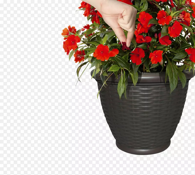 花卉设计容器花园切花瓶