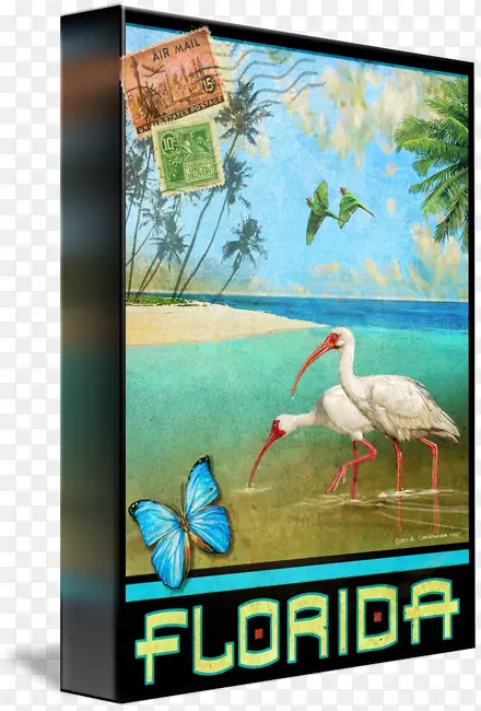 广告帆布印刷生态动物鸟游海报