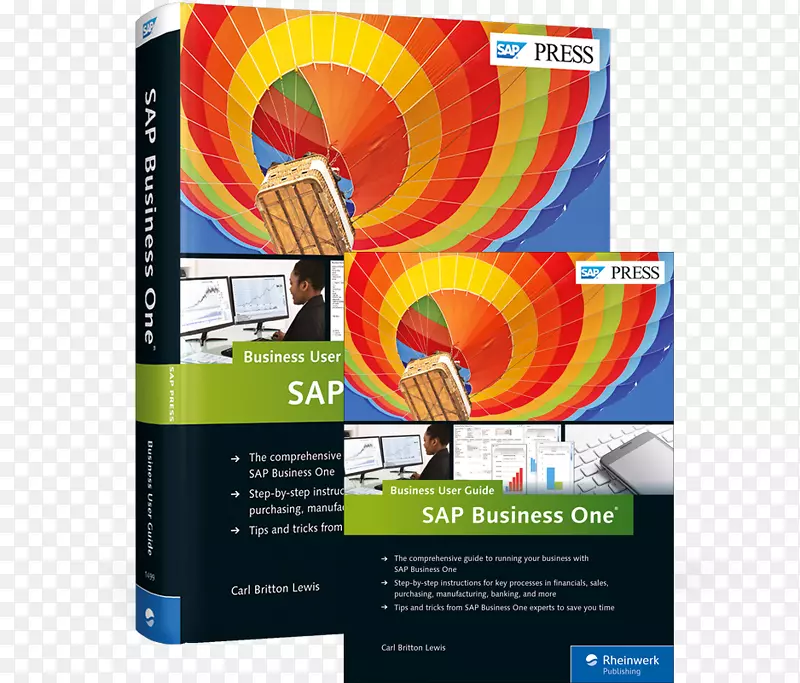 SAP业务一：业务用户指南sap se-海报业务