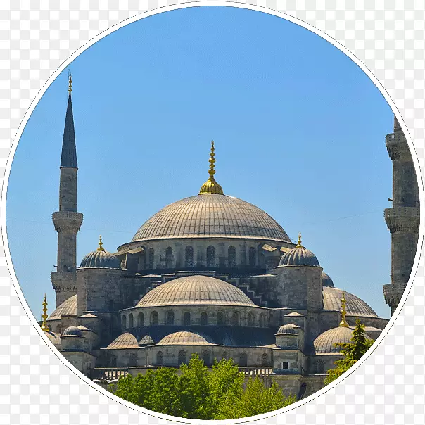 苏丹艾哈迈德清真寺蜜蜂树花-伊斯坦布尔清真寺