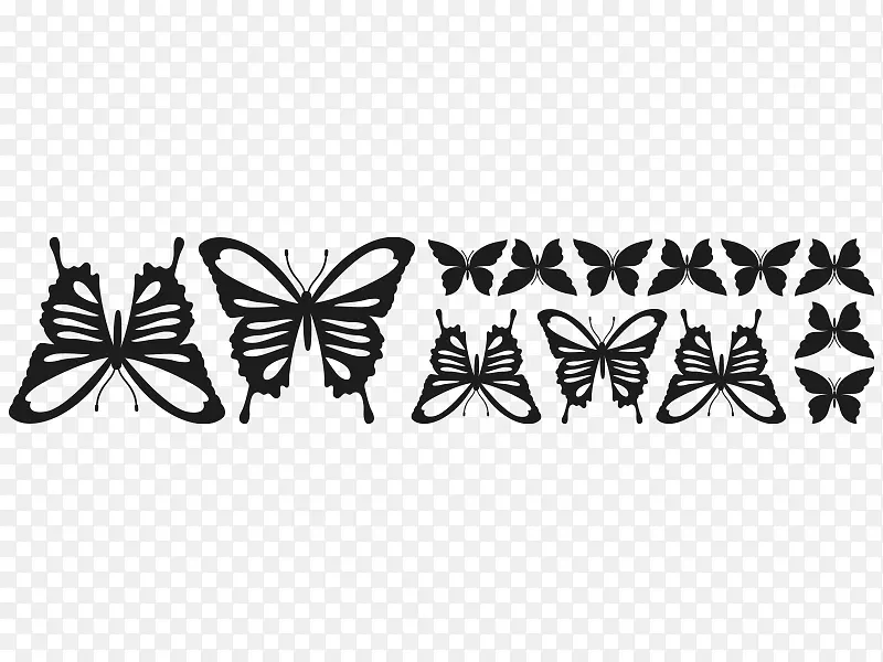 毛茸茸的蝴蝶，昆虫，白色字体-蝴蝶
