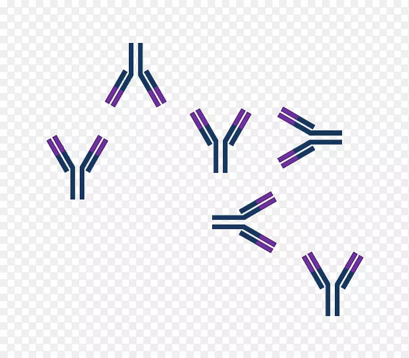 抗原-抗体相互作用表位-科学