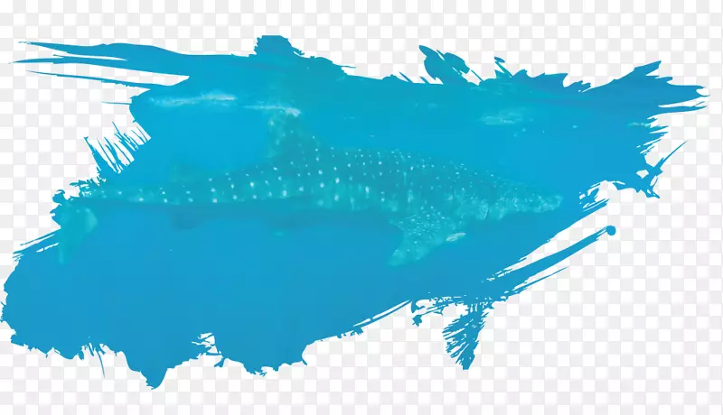 鲸鲨岛