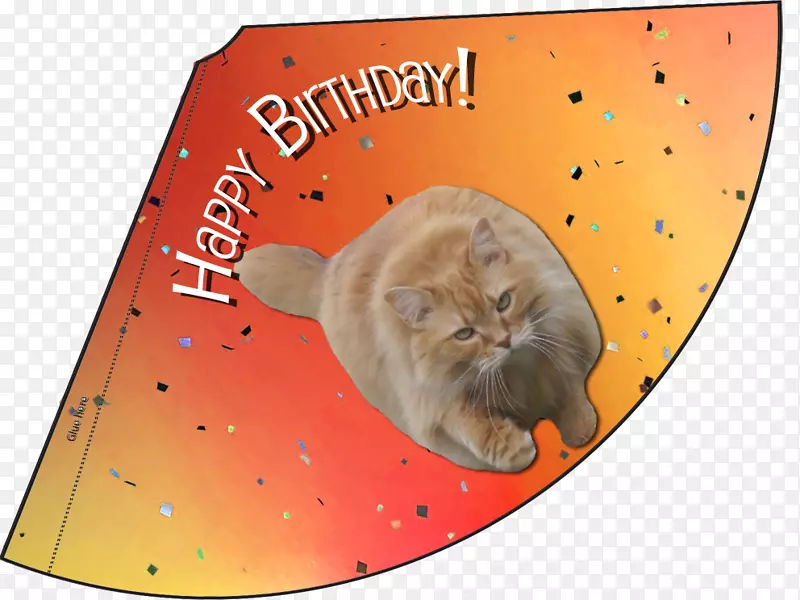 胡须小猫派对帽子生日小猫