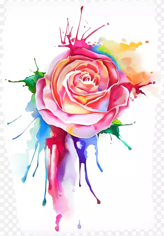 花园玫瑰花卉设计水彩画