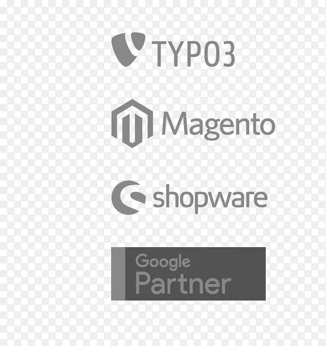 Magento电子商务网站开发-万维网