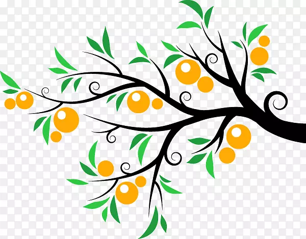 橘子果树-桔子