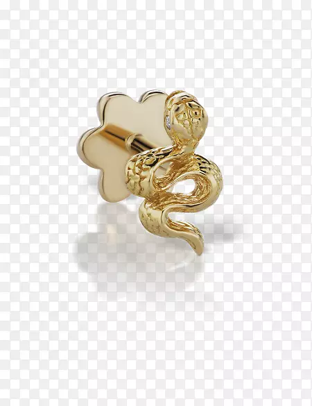 耳环海螺穿孔珠宝黄金高档珠宝