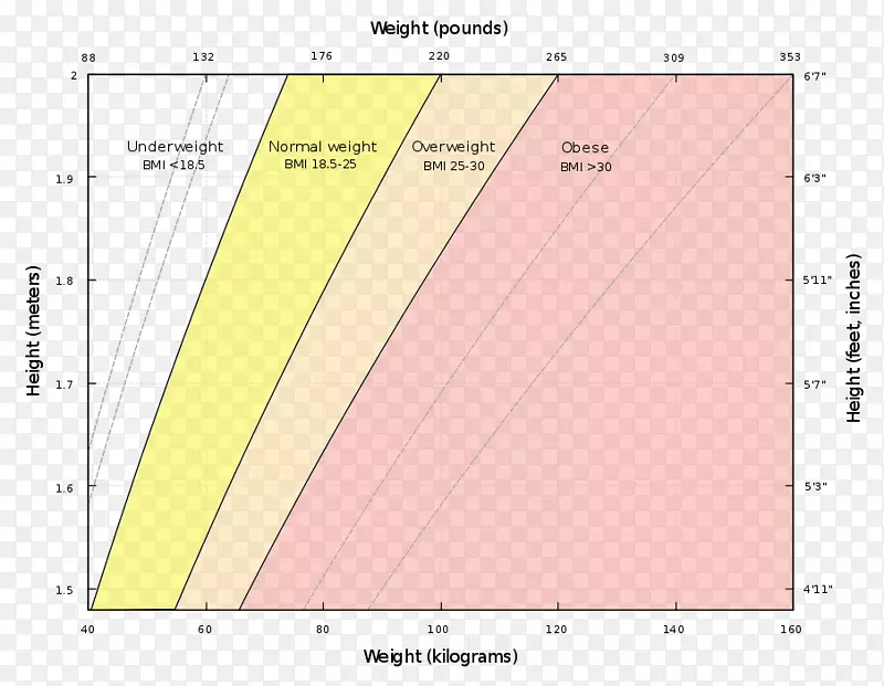体重指数人体体重减轻脂肪组织