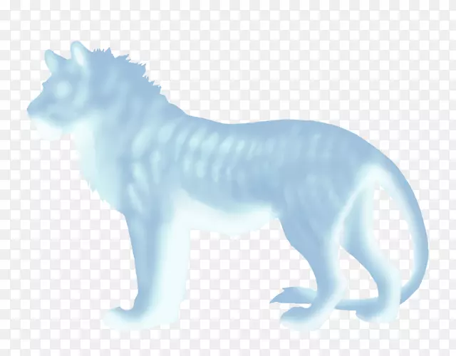狮子北极狐猫狗-狮子
