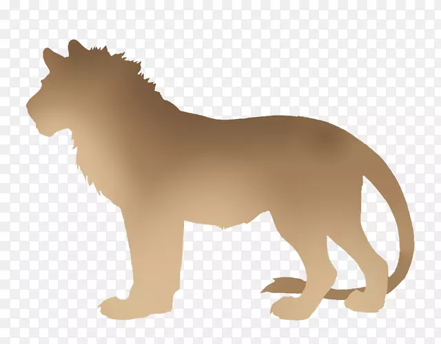 科拉特大猫科狮子豹-狮子