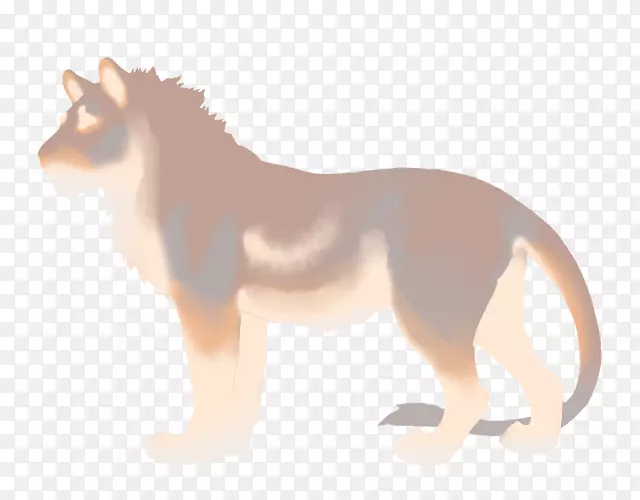 狮子野马猫鬃毛-狮子
