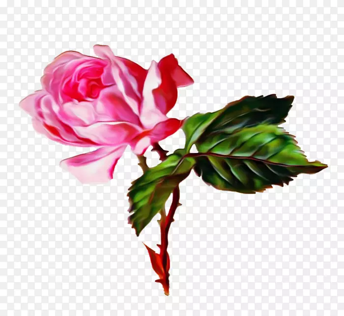 花束花园玫瑰Gfycat-花