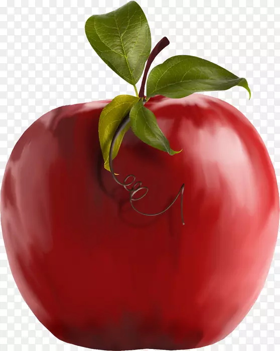 番茄天然食品苹果本地食品-番茄