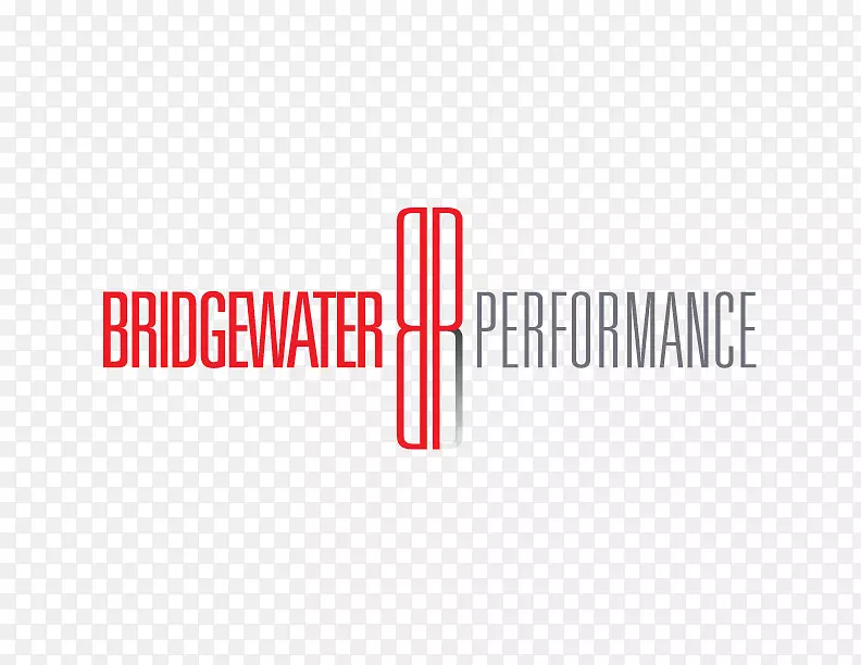 桥水表演标志运动品牌-桥牌水