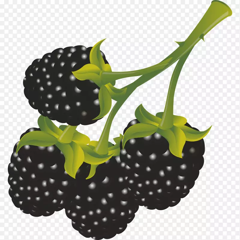 贝瑞电脑图标线黑色墨水-黑莓水果