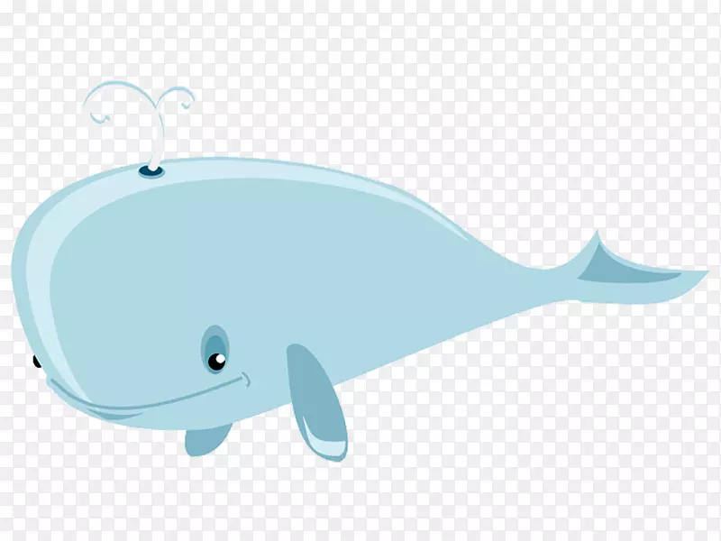 海豚头孢菌素蓝鲸剪贴画-海豚