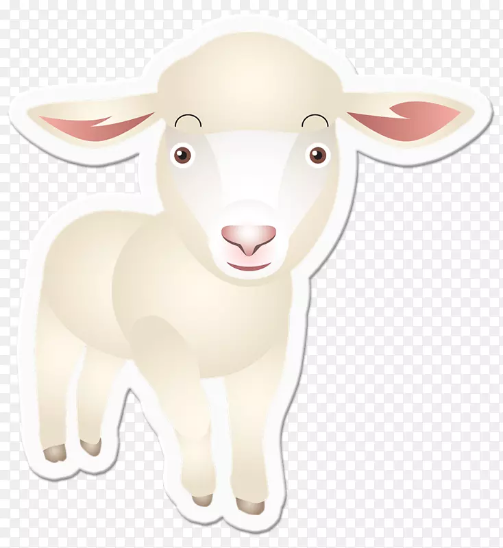 羊，山羊，牛，鼻子，动物-绵羊