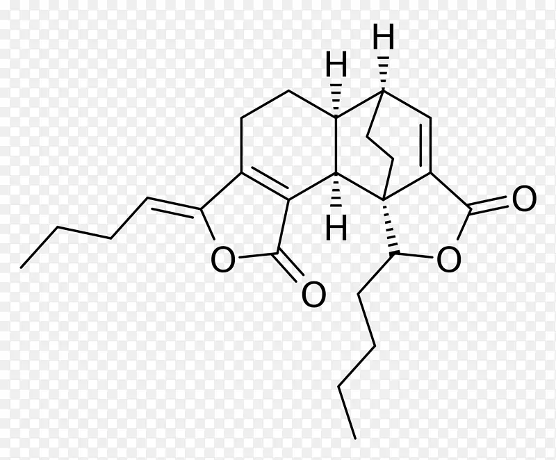 白色技术点技术