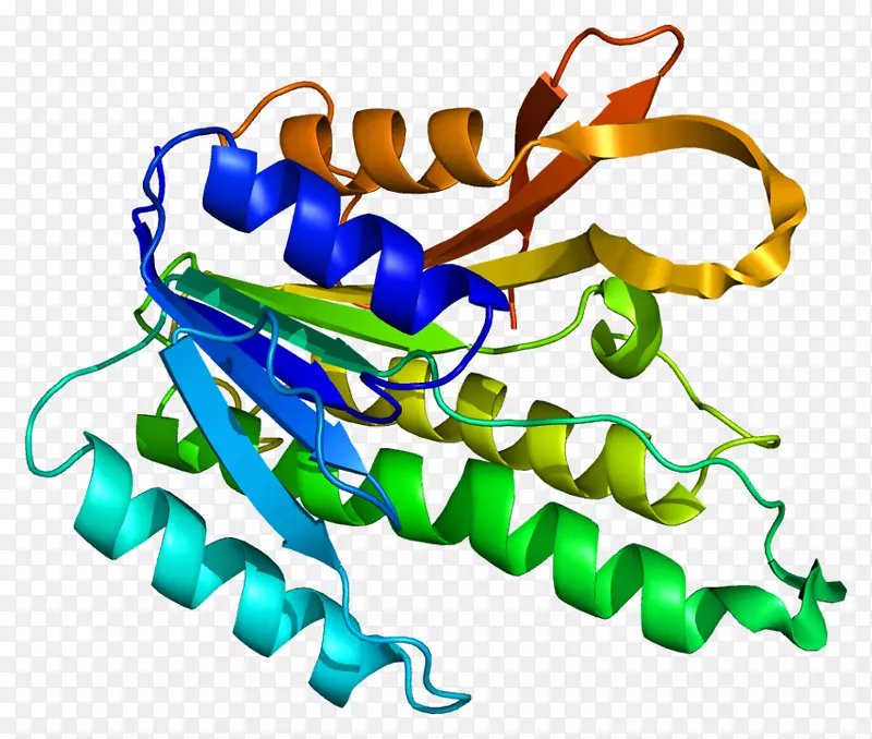 苯丙氨酸羟化酶基因酪氨酸羟化酶四氢生物蝶呤
