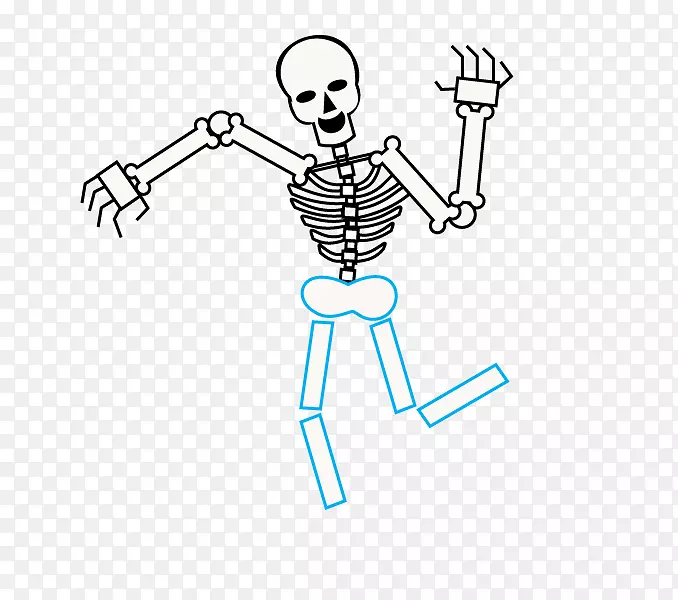 人体骨骼画卡通骨骼