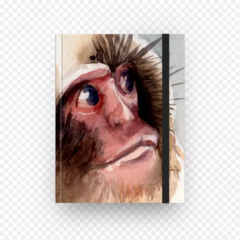 鼻肖像特写猴子摄影工作室柔性设计