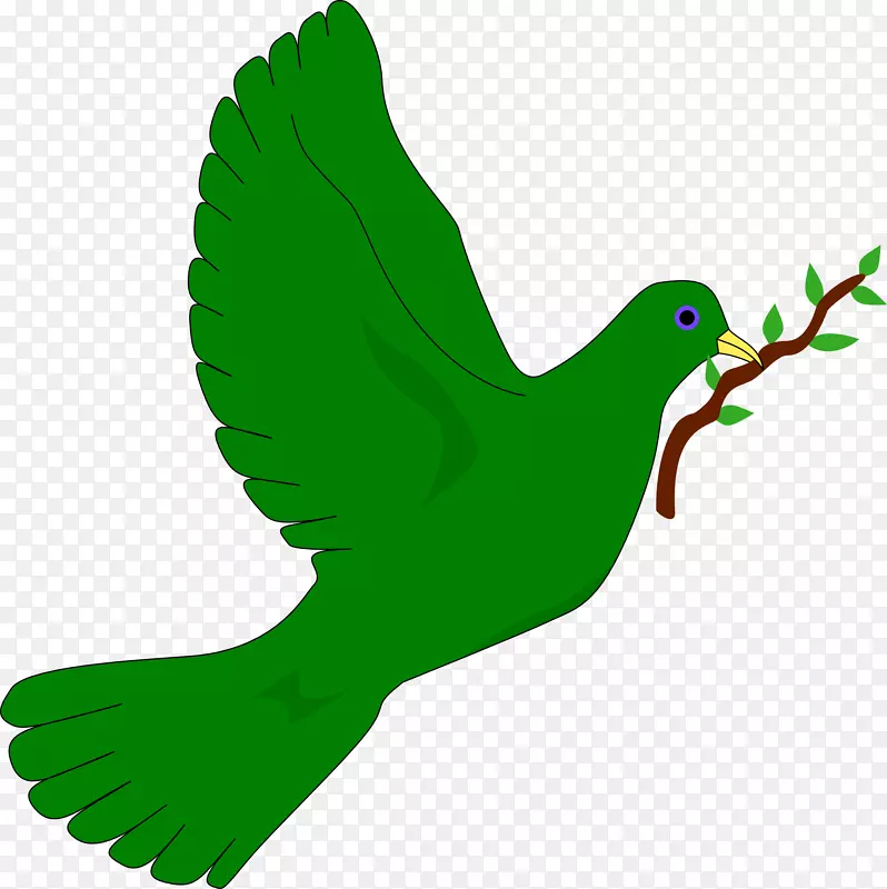 鸟鸽作为普通翡翠鸽子剪贴画的象征.鸟