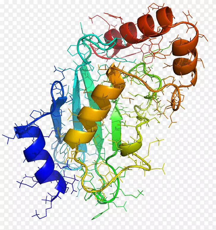 泛素-共轭酶蛋白翻译后修饰