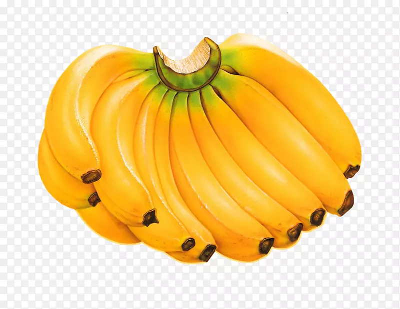 香蕉面包香蕉束顶病毒食品水果香蕉