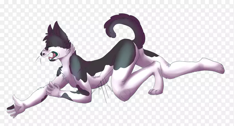 猫犬科爪子猫
