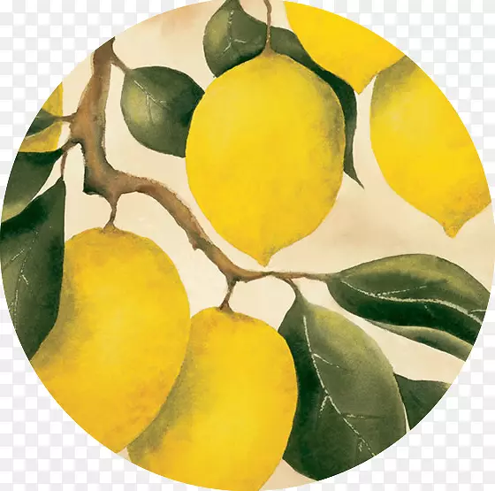 柠檬果园水果-柠檬