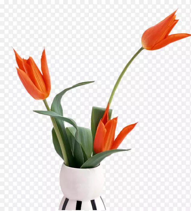 花卉设计花瓶桌面壁纸花瓶
