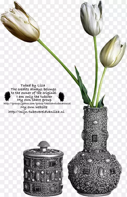 花瓶图像文件格式数字图像花瓶