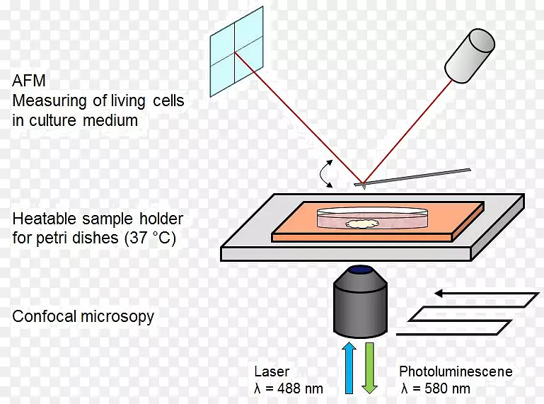 AFM 生物细胞测量PNG图片素材下载_图片编号4048603-PNG素材网