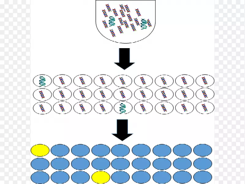 数字聚合酶链反应分子生物学技术