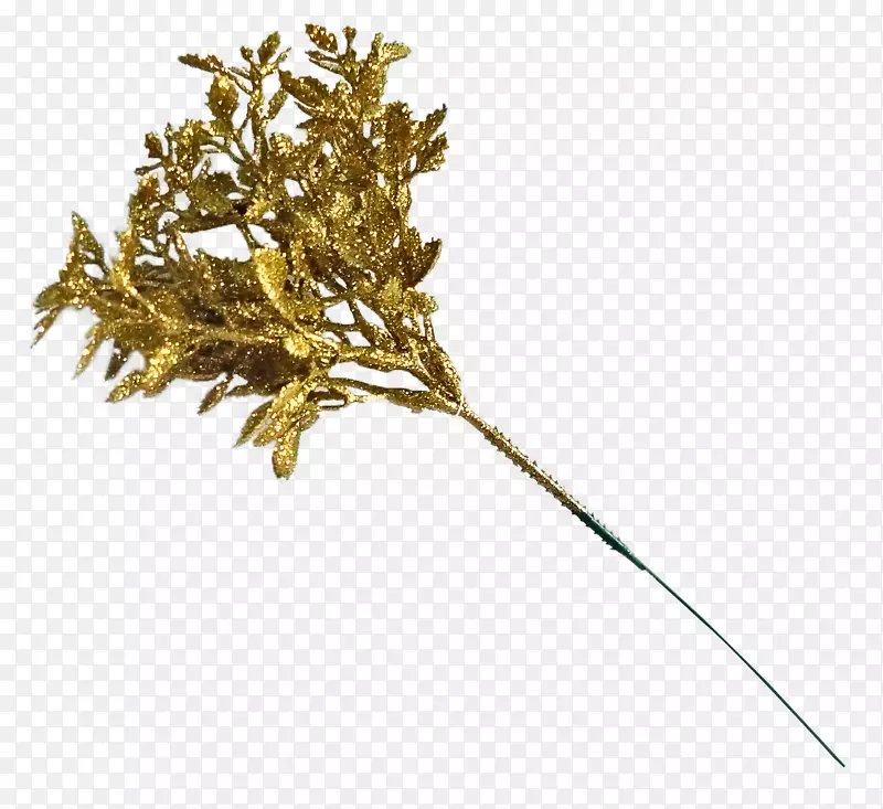 细枝植物茎金叶金