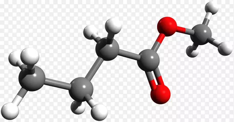 丁酸甲酯-分子